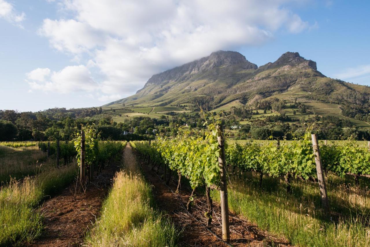 Lodge Banhoek *